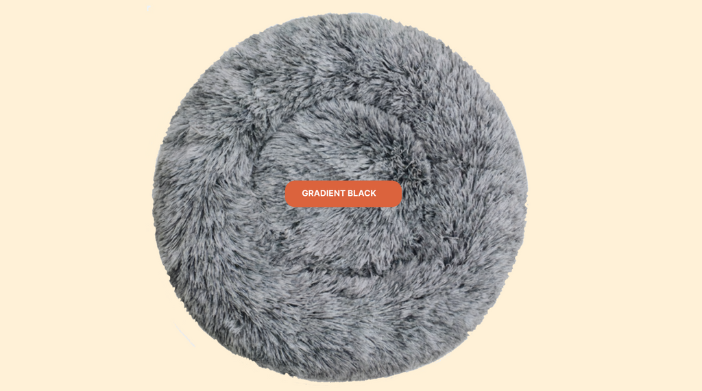 Mailohub™— World's #1 Joint-Relief Pet Bed “Because standing up shouldn’t hurt.”