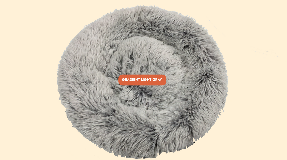 Mailohub™— World's #1 Joint-Relief Pet Bed “Because standing up shouldn’t hurt.”