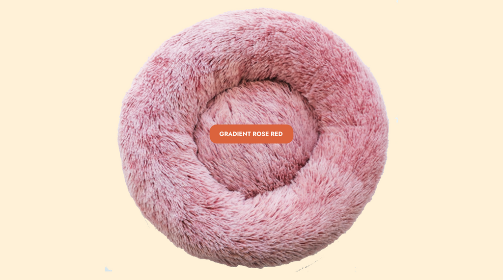 Mailohub™— World's #1 Joint-Relief Pet Bed “Because standing up shouldn’t hurt.”