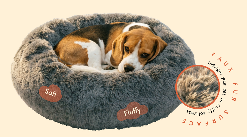 Mailohub™— World's #1 Joint-Relief Pet Bed “Because standing up shouldn’t hurt.”