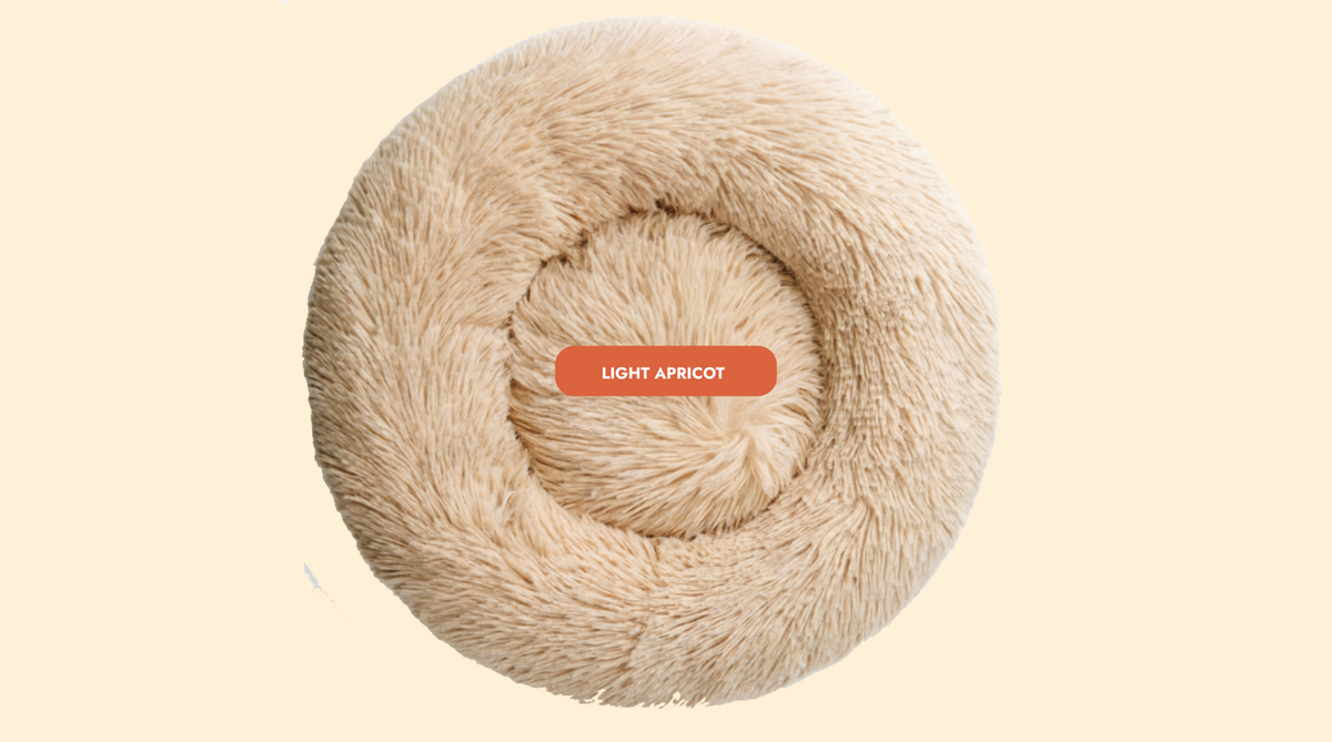 Mailohub™— World's #1 Joint-Relief Pet Bed “Because standing up shouldn’t hurt.”